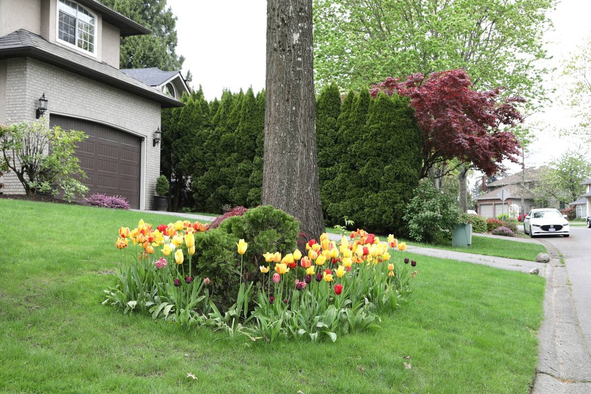 10 Genius Edging Designs of Small Front Yard That Maximize Curb Appeal (Without Eating Your Lawn)