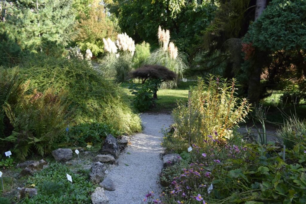 17 Garden Edging Design Ideas That Actually Hold Their Ground (No More Weeds or Wobbles!)