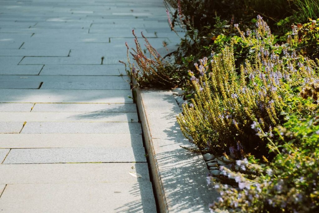 27 Front Garden Edging Ideas That Instantly Boost Curb Appeal (Without Breaking the Bank)