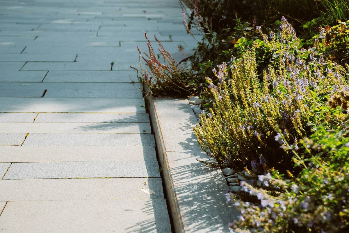 27 Front Garden Edging Ideas That Instantly Boost Curb Appeal (Without Breaking the Bank)