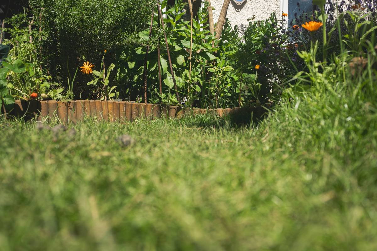 27 Garden Edging Ideas UK Homeowners Actually Love (And One That Made Me Cry Into My Trowel)