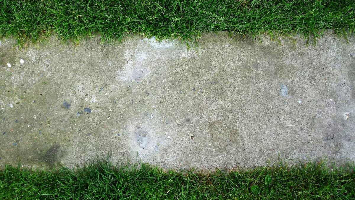 Before and after photos of a garden using garden edging roll out—before shows grass invading flower bed, after shows clean separation