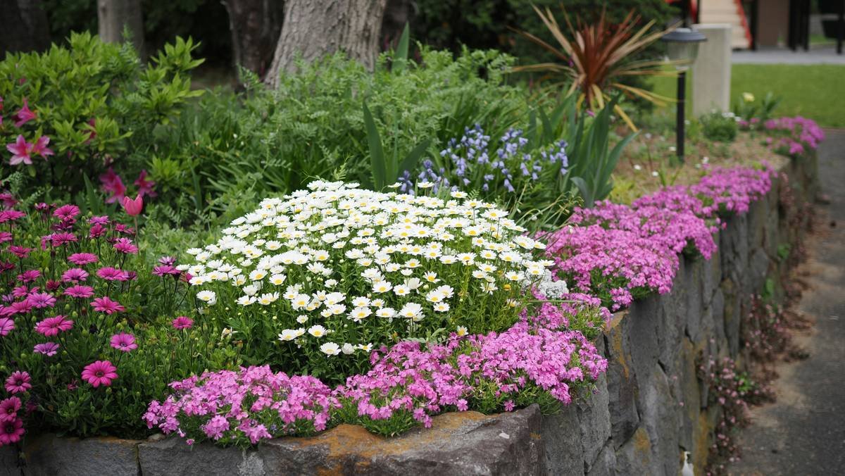 Comparison chart of garden border edging materials showing durability, cost, and UK climate suitability for steel, concrete, composite, stone, and plastic