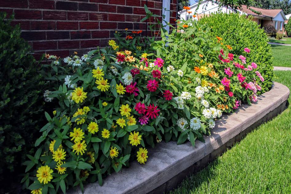 Homepage for Home Improvement Outdoor Furniture & Decor garden edging