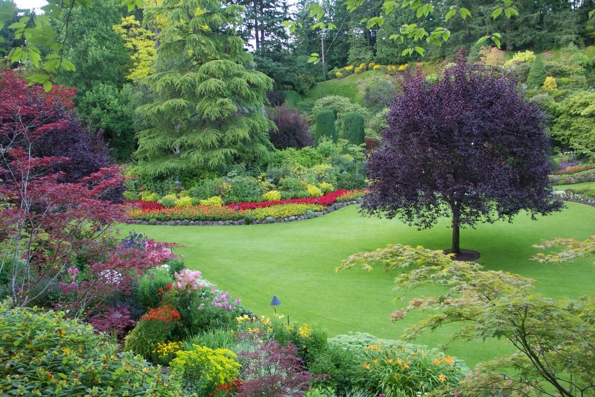 Infographic showing 5 key benefits of garden edging: weed control, erosion prevention, curb appeal boost, reduced maintenance, and defined planting zones