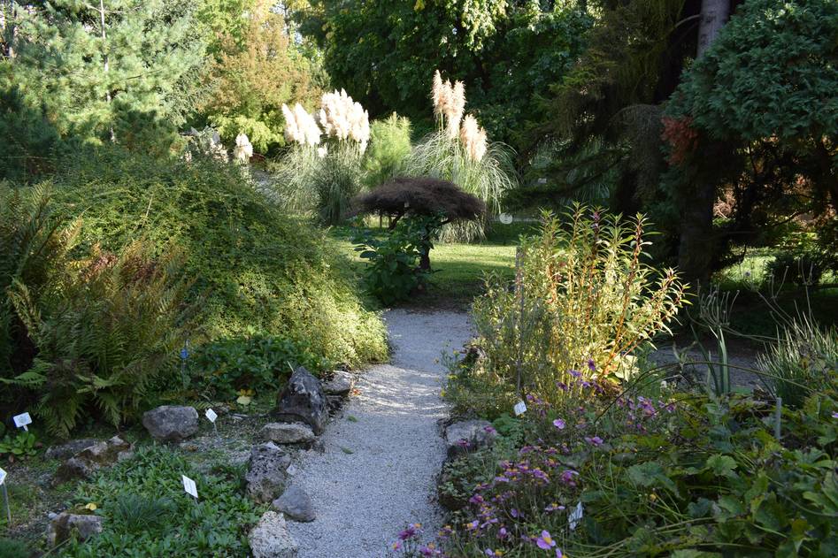 Lush garden with natural stone edging border