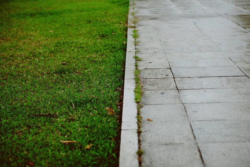 Outdoor Edging for Landscape: The Secret Weapon Your Garden’s Missing (And How to Nail It)