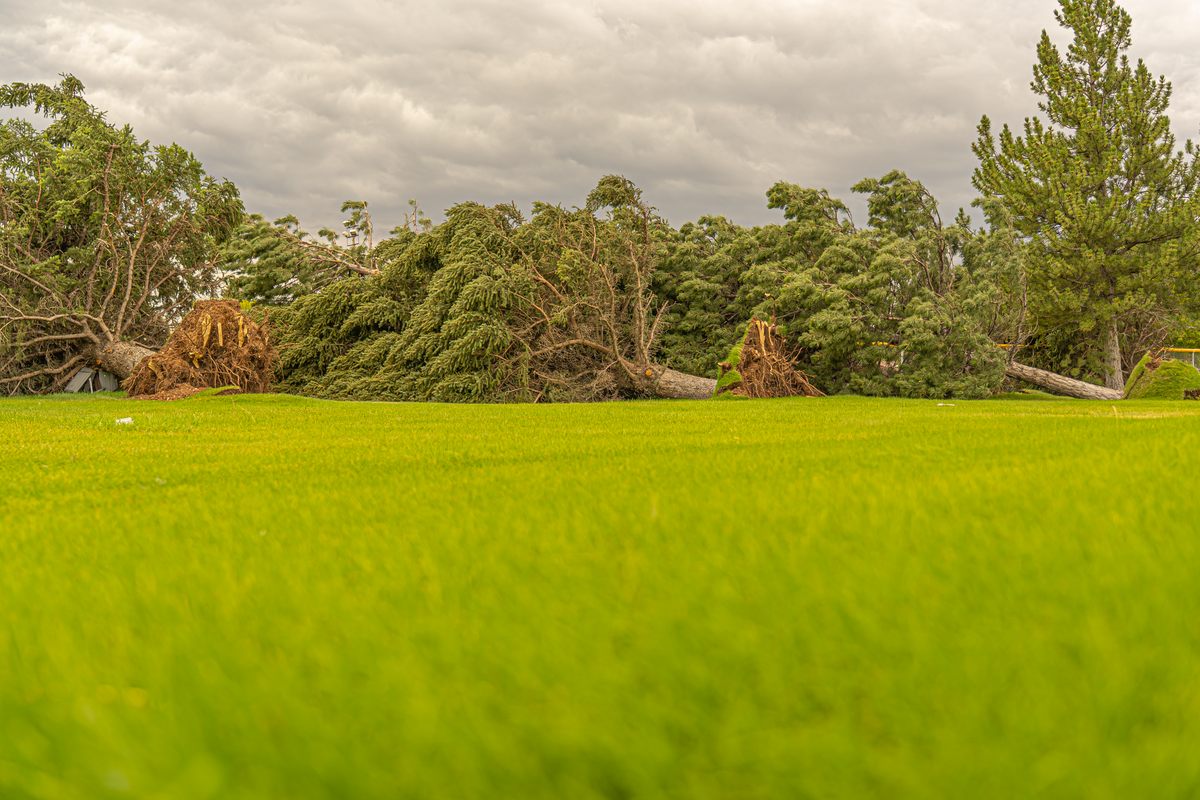Why Your Commercial Grade Landscape Edging Keeps Failing (And How to Fix It for Good)