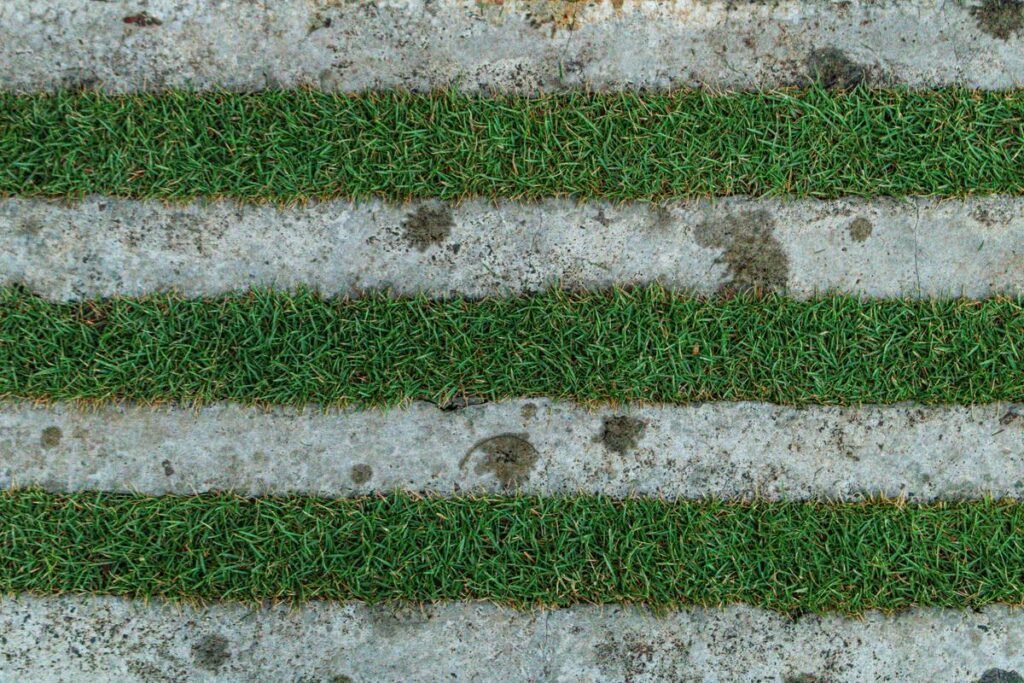 Why Your Garden Looks Messy (And How a Garden Edging Roll Out Fixes It Fast)
