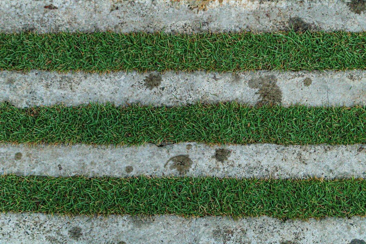 Why Your Garden Looks Messy (And How a Garden Edging Roll Out Fixes It Fast)