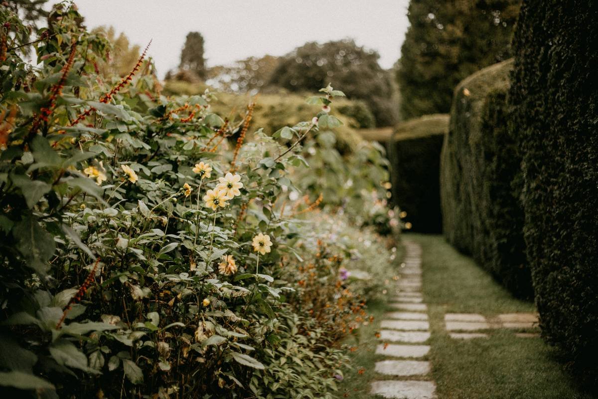 Why Your Garden Looks Messy (and How Garden Edging and Borders from Home Depot Can Fix It in a Weekend)