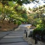 Edging for Gardens Ideas: Creative, Durable & Budget-Smart Borders