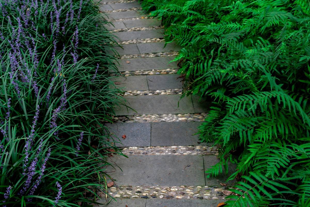 Close-up of textured decorative concrete garden edging separating lawn and flower bed