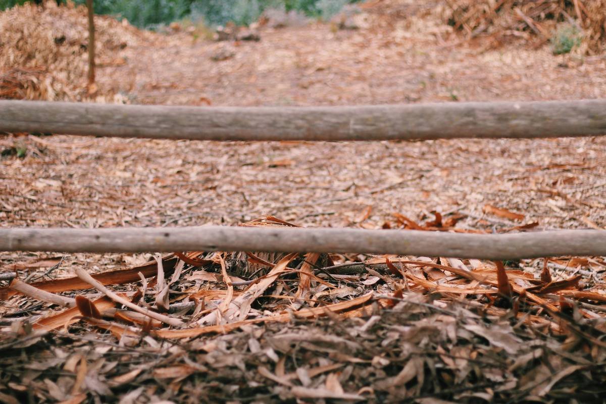 Creative garden edging materials ideas using reclaimed brick and cor-ten steel side by side