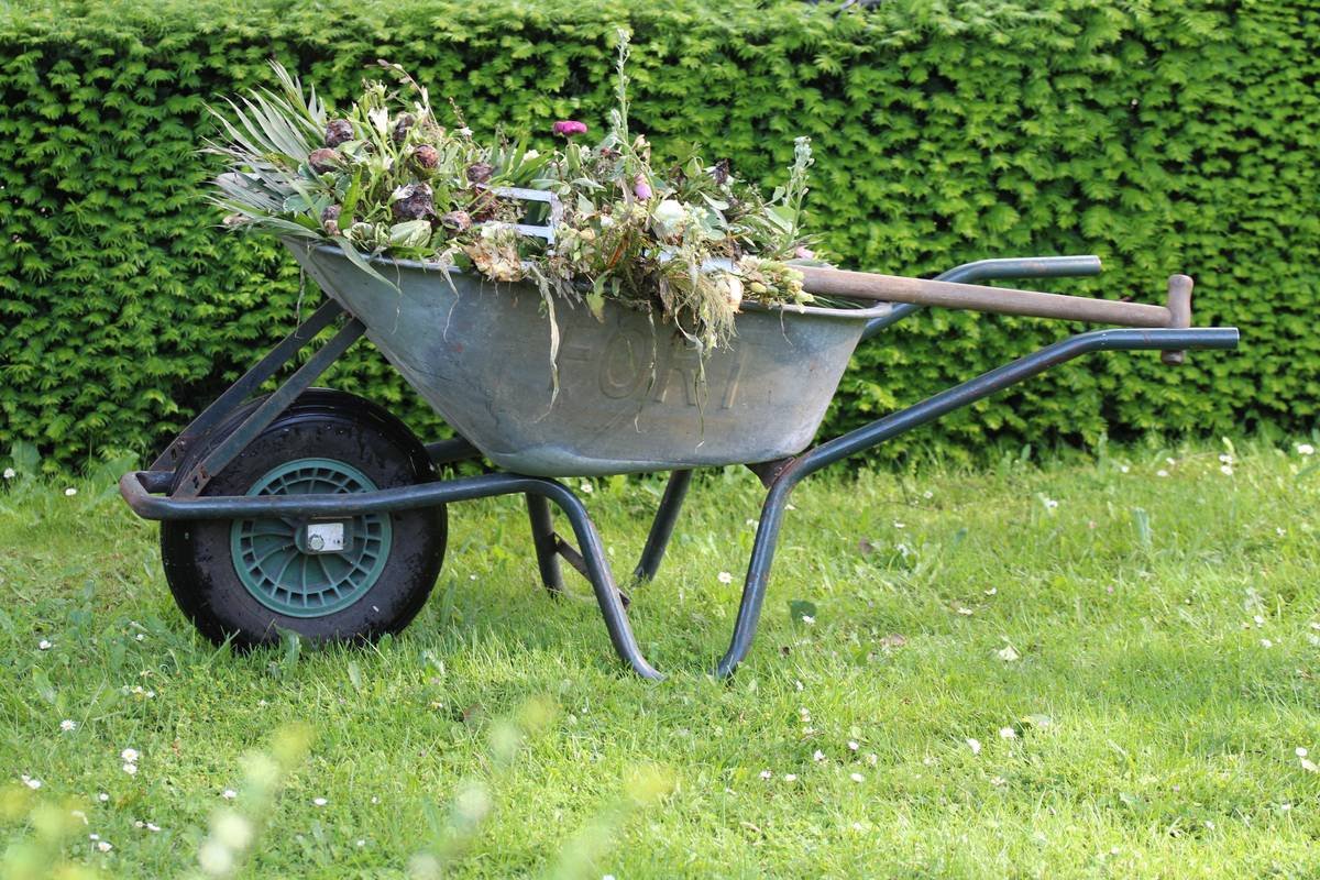 What Is Garden Edging? Your No-Nonsense Guide to Crisp, Weed-Free Landscapes