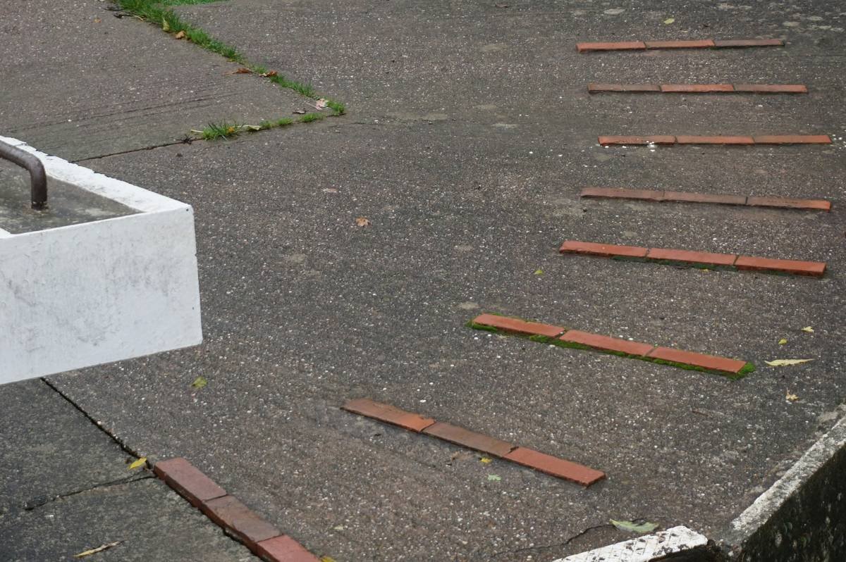 Why decorative concrete garden edging Is the Underrated Hero of Outdoor Design