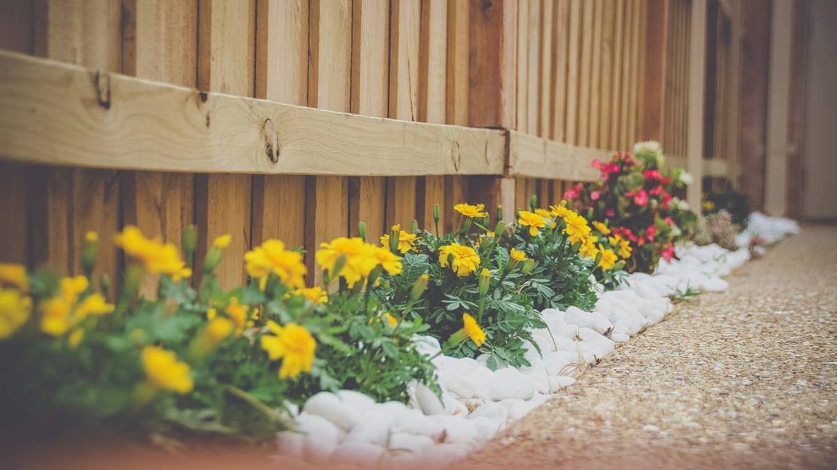 Finished wood garden edging ideas showing clean lawn-to-bed transition