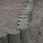 Wood Garden Edging Ideas That Actually Last