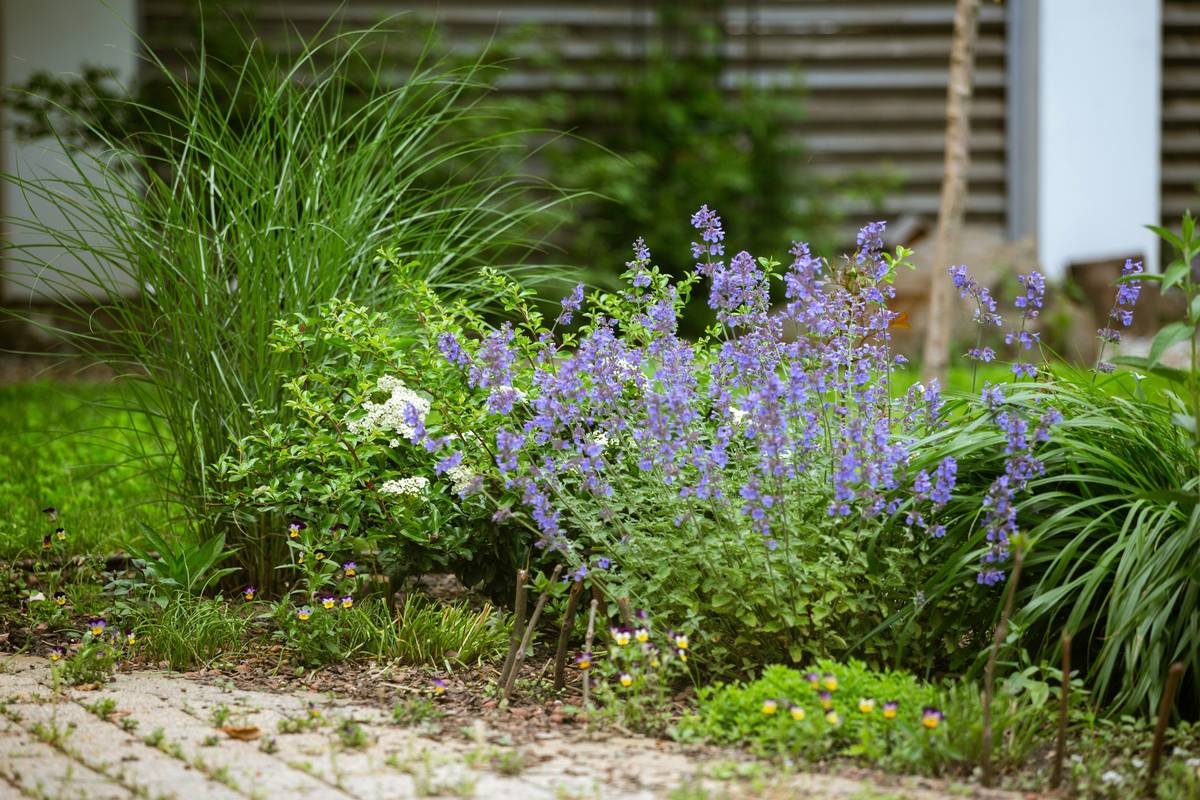 comparison of wood garden edging home depot materials showing durability and aesthetic differences over time