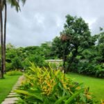 Easy Garden Edging Ideas: 7 Proven Ways to Avoid Costly Landscaping Mistakes