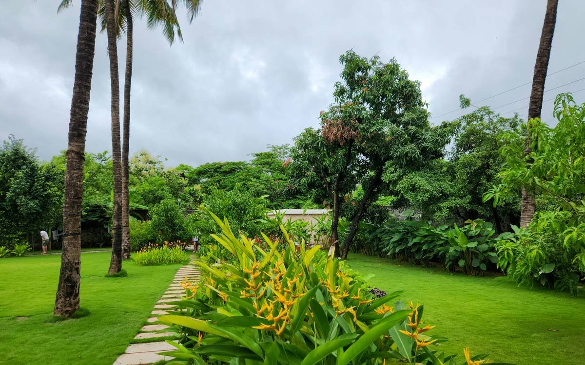 Easy Garden Edging Ideas: 7 Proven Ways to Avoid Costly Landscaping Mistakes