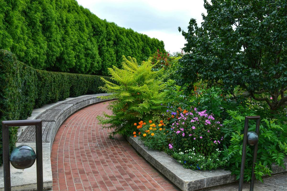 easy garden edging ideas showing curved metal border separating lawn and flower bed