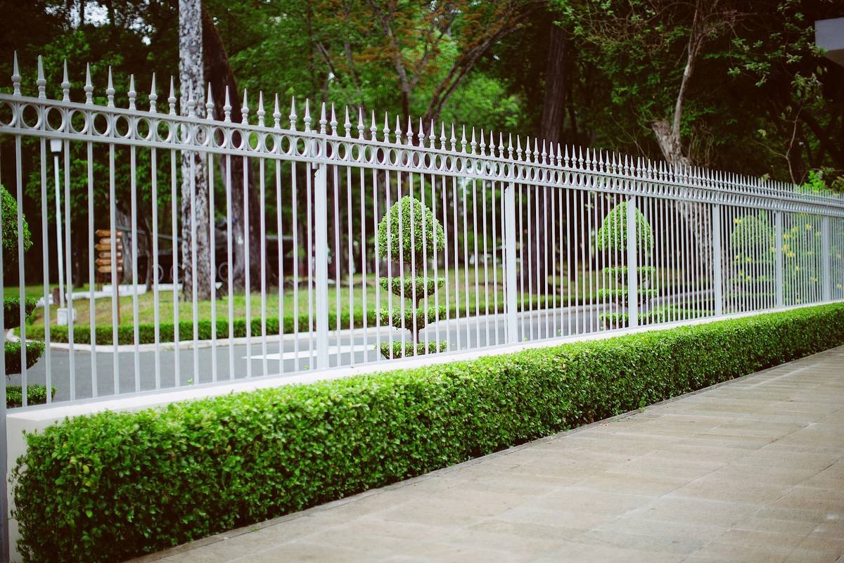 Why Aluminum Landscape Edging Home Depot Is Your Best Bet for Clean Garden Lines