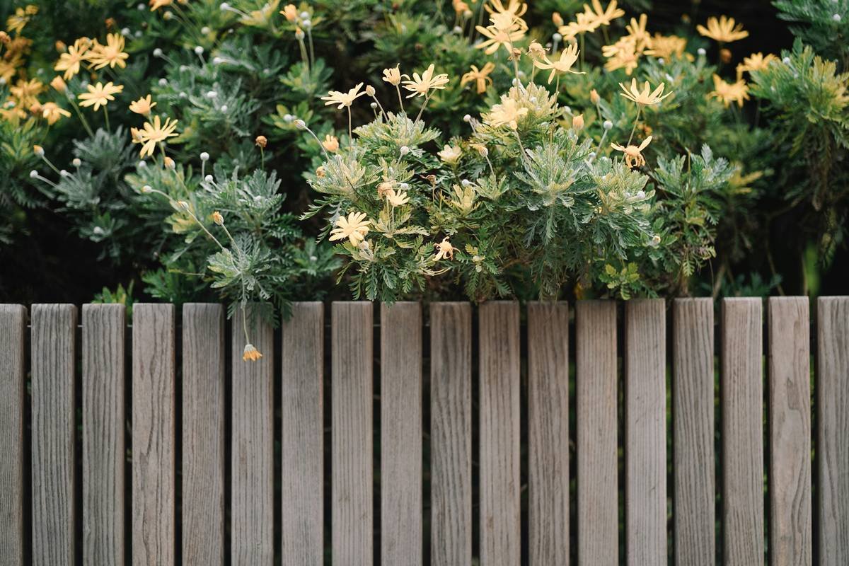 wood garden edging home depot installation showing rebar stakes and linseed-treated cedar boards