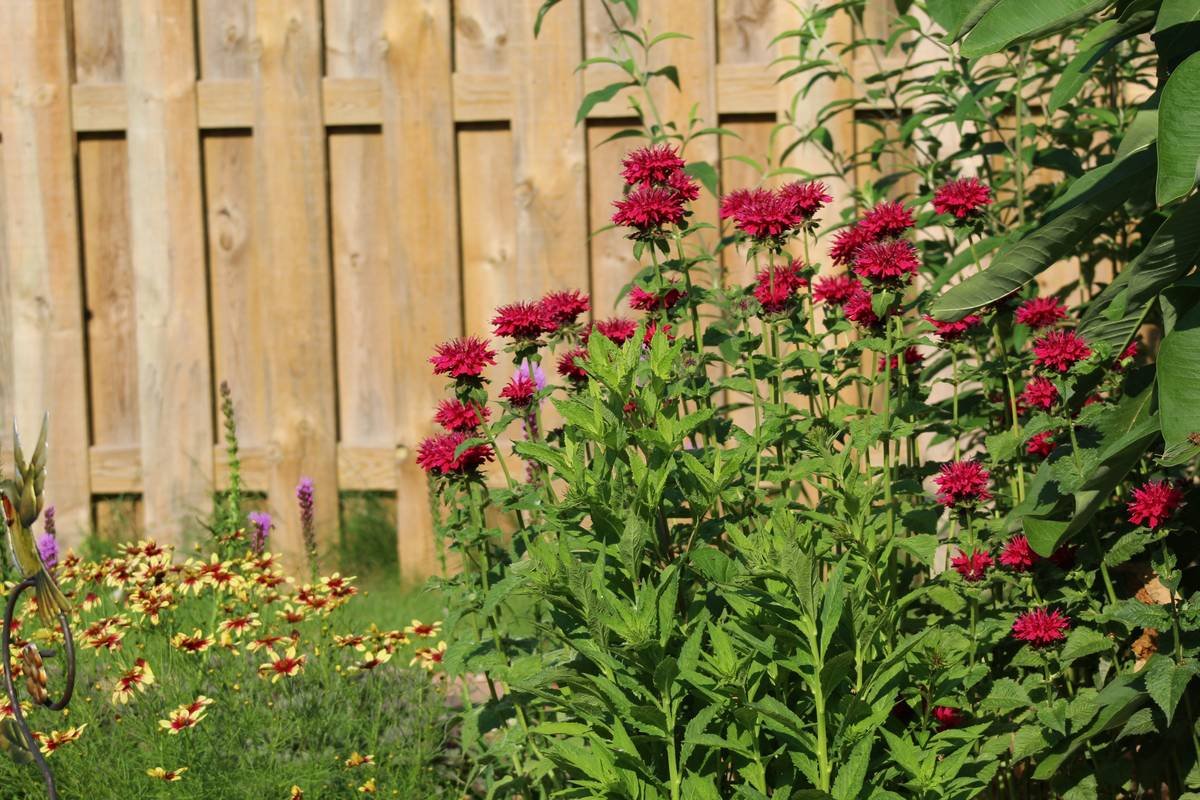 wood garden edging home depot: Style Meets Longevity Without the Hype