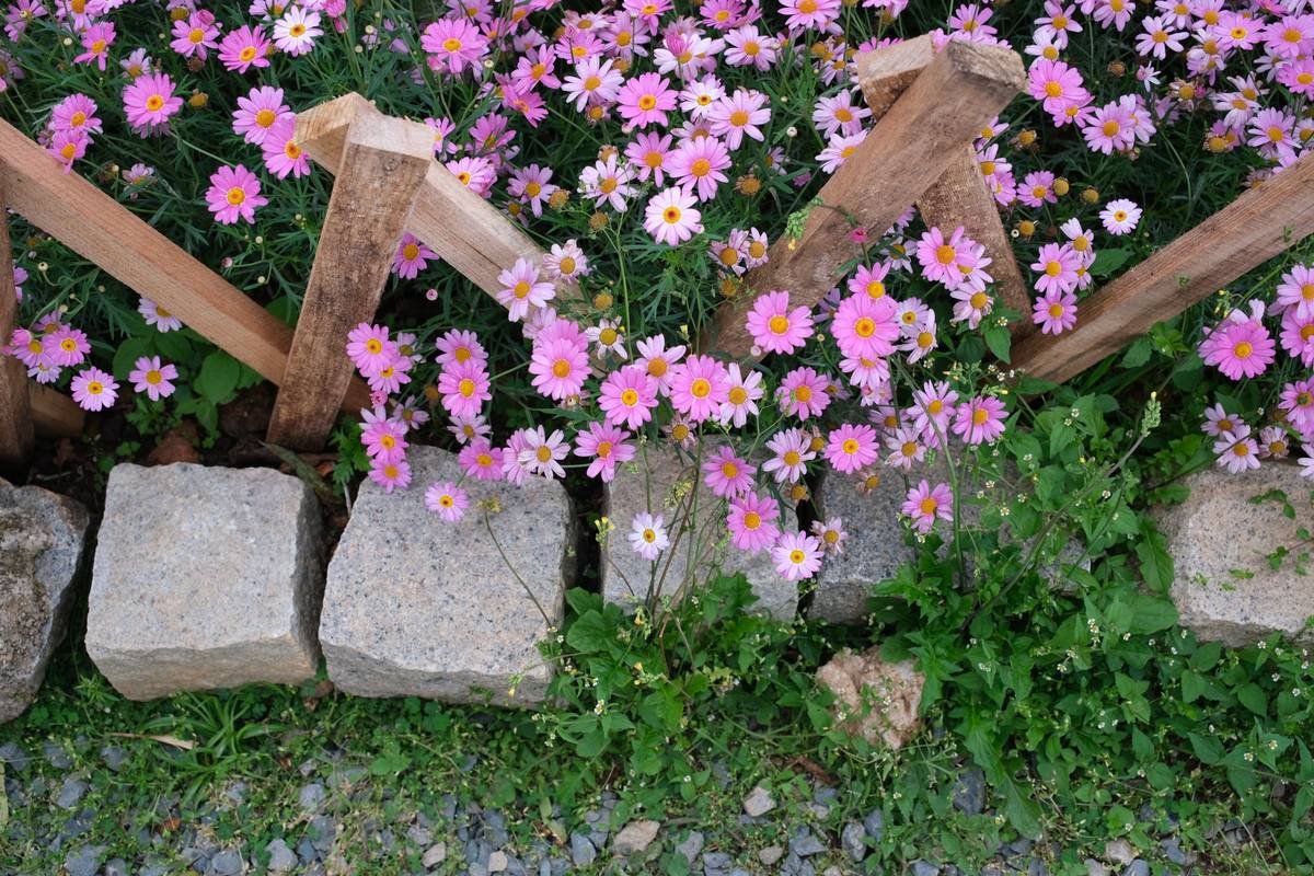 extra deep garden edging installed along a flower bed with visible 8-inch depth below soil line