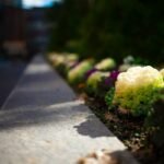 Extra Deep Garden Edging: 7 Proven Tips to Avoid Costly Mistakes