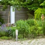 Garden Edging With Wood: 7 Proven Tips to Avoid Costly Mistakes