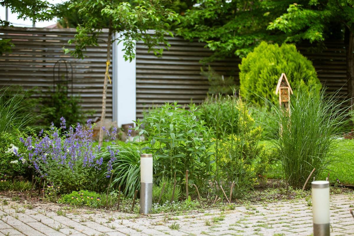 Garden Edging With Wood: 7 Proven Tips to Avoid Costly Mistakes