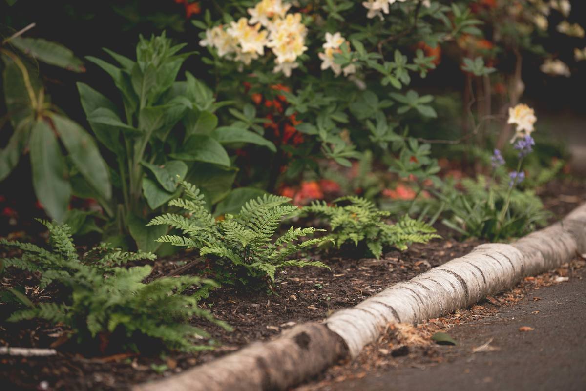 Premium Landscape Edging: 7 Proven Tips to Avoid Costly Mistakes