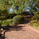 Qd Garden Edging Installation: 7 Proven Tips to Avoid Costly Mistakes