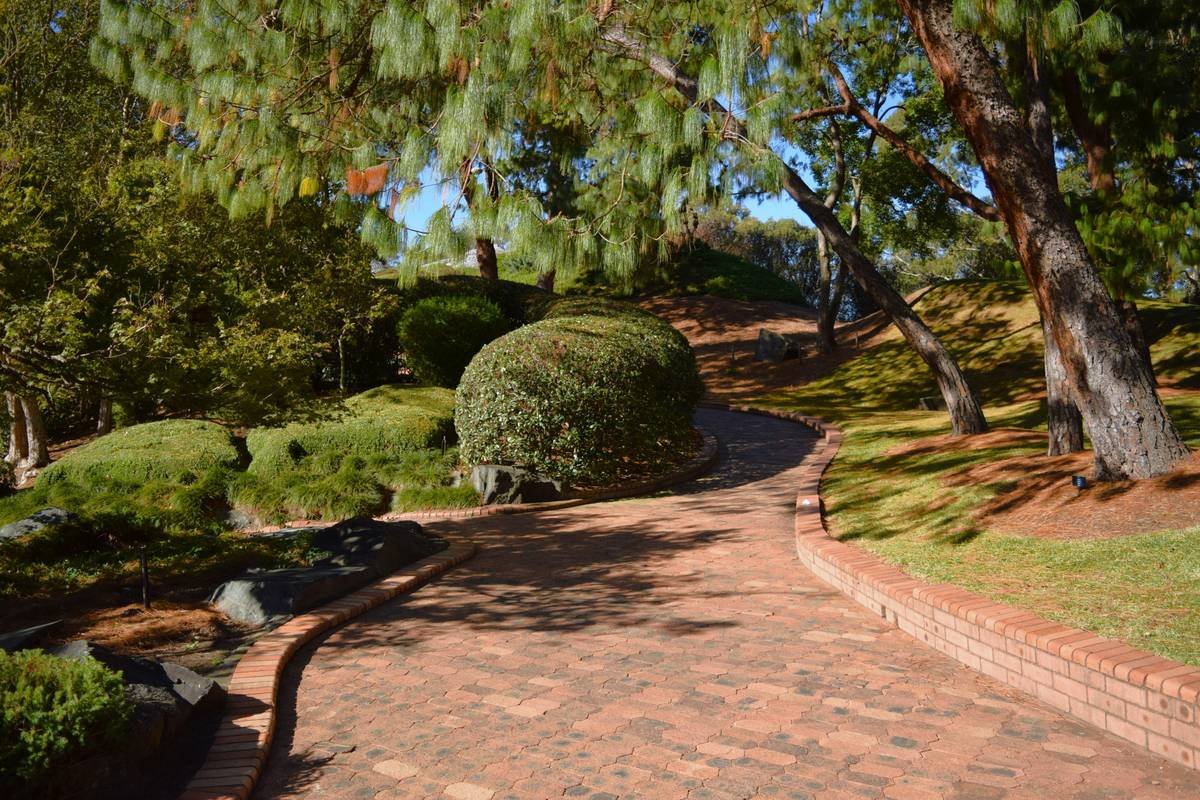 Qd Garden Edging Installation: 7 Proven Tips to Avoid Costly Mistakes
