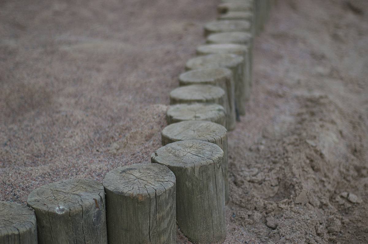 Straight rows of garden edging with wood separating lawn from flower beds